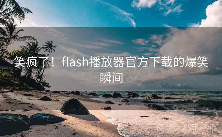 笑疯了！flash播放器官方下载的爆笑瞬间