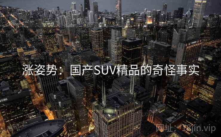 涨姿势：国产SUV精品的奇怪事实