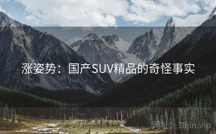 涨姿势:国产SUV精品的奇怪事实 涨姿势:国产SUV精品的奇怪事实