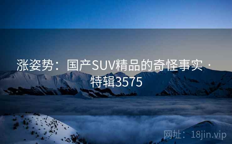 涨姿势：国产SUV精品的奇怪事实 · 特辑3575