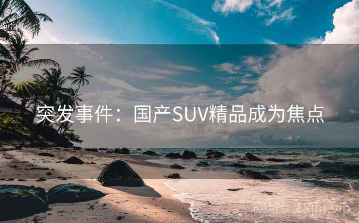 突发事件：国产SUV精品成为焦点